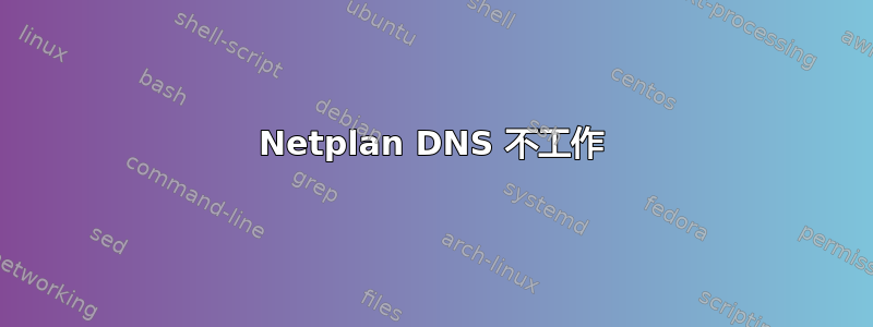 Netplan DNS 不工作