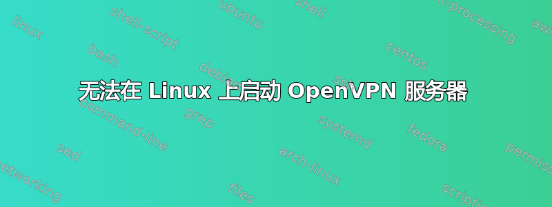 无法在 Linux 上启动 OpenVPN 服务器