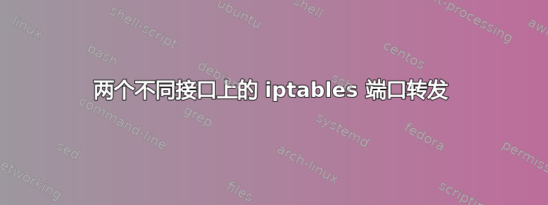 两个不同接口上的 iptables 端口转发