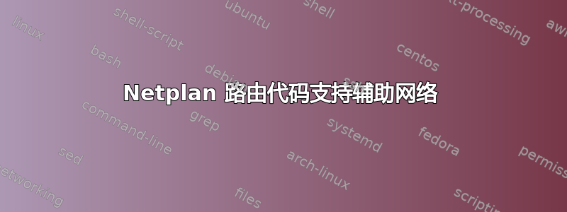 Netplan 路由代码支持辅助网络