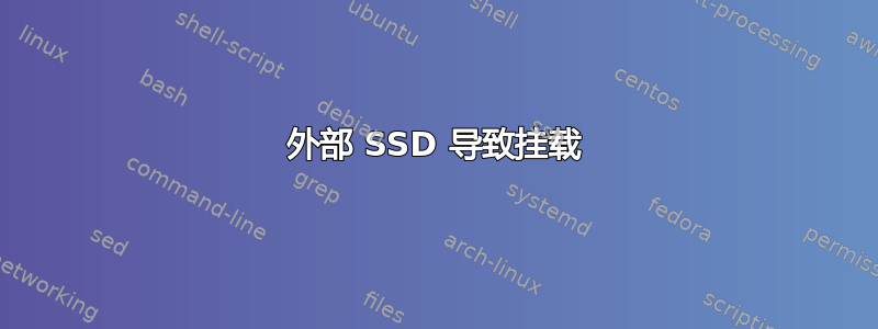 外部 SSD 导致挂载