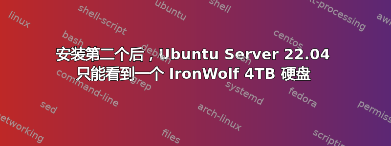 安装第二个后，Ubuntu Server 22.04 只能看到一个 IronWolf 4TB 硬盘