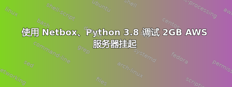 使用 Netbox、Python 3.8 调试 2GB AWS 服务器挂起