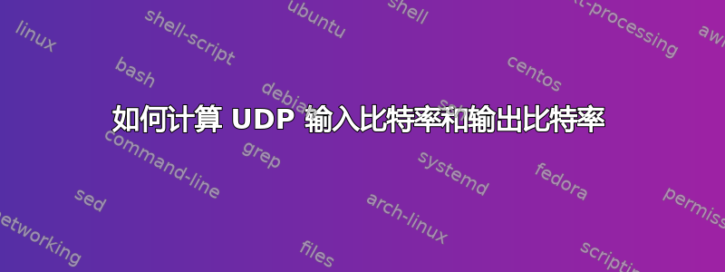 如何计算 UDP 输入比特率和输出比特率