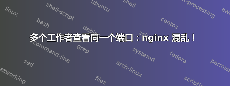 多个工作者查看同一个端口：nginx 混乱！