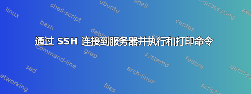 通过 SSH 连接到服务器并执行和打印命令