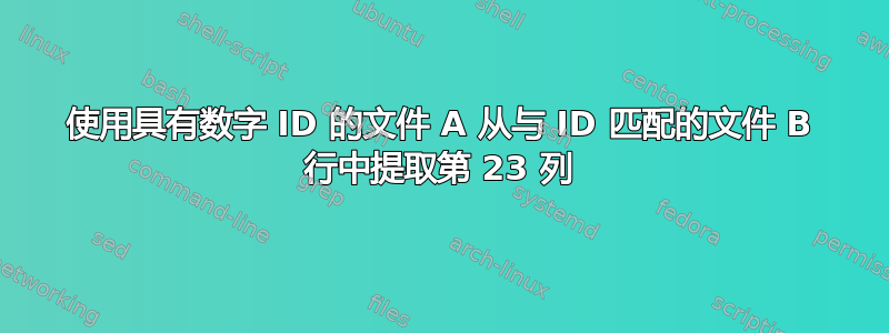 使用具有数字 ID 的文件 A 从与 ID 匹配的文件 B 行中提取第 23 列