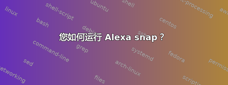 您如何运行 Alexa snap？