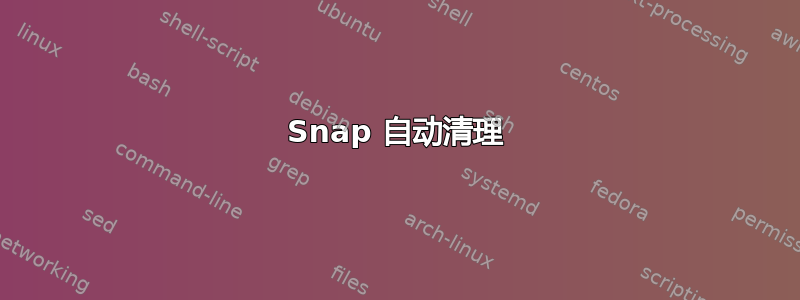 Snap 自动清理