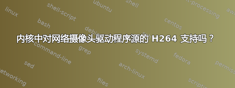 内核中对网络摄像头驱动程序源的 H264 支持吗？