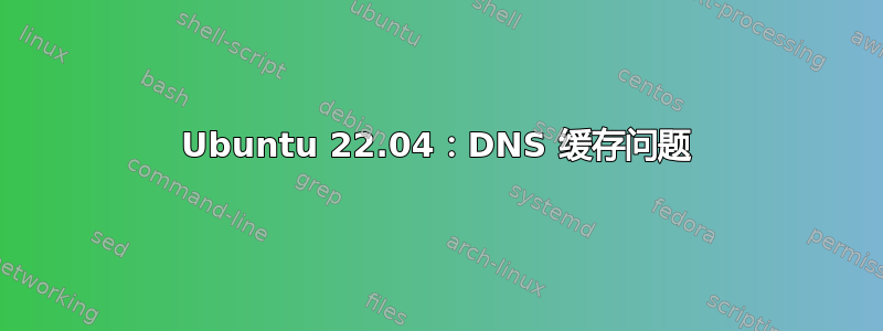 Ubuntu 22.04：DNS 缓存问题