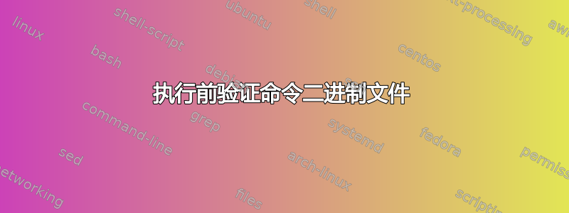 执行前验证命令二进制文件