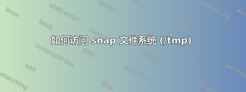 如何访问 snap 文件系统 (/tmp)