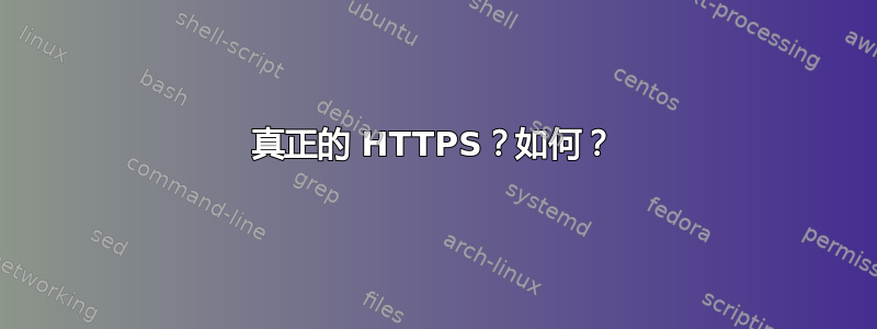 真正的 HTTPS？如何？