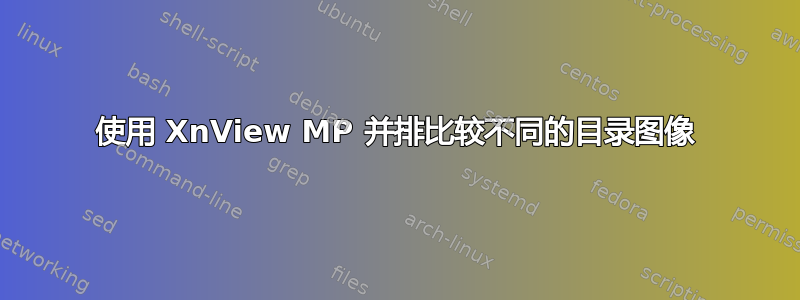 使用 XnView MP 并排比较不同的目录图像