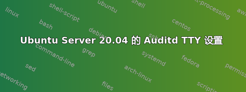 Ubuntu Server 20.04 的 Auditd TTY 设置