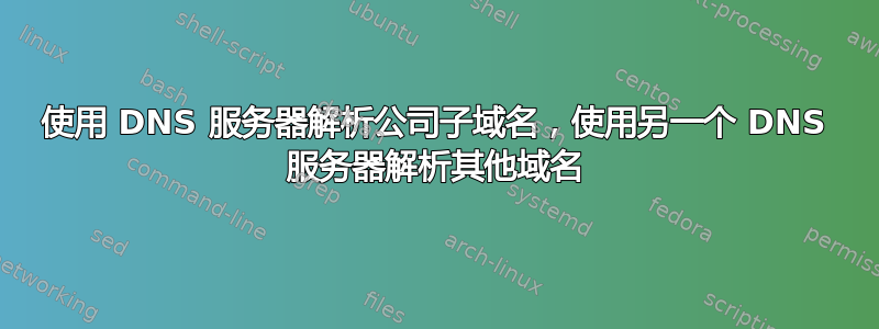 使用 DNS 服务器解析公司子域名，使用另一个 DNS 服务器解析其他域名