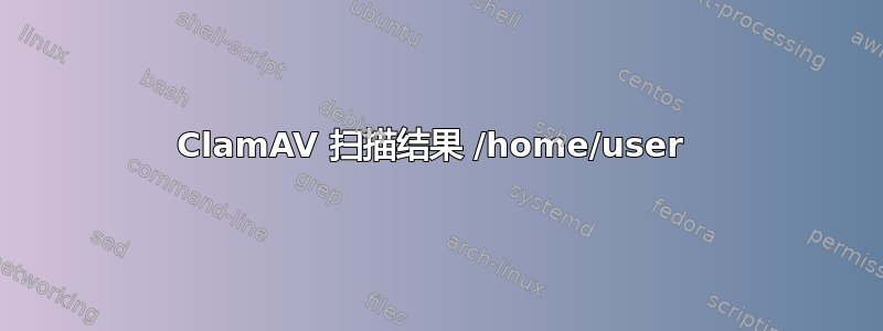 ClamAV 扫描结果 /home/user 