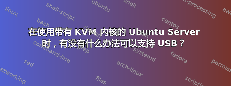 在使用带有 KVM 内核的 Ubuntu Server 时，有没有什么办法可以支持 USB？