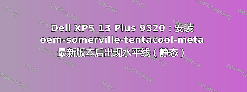 Dell XPS 13 Plus 9320：安装 oem-somerville-tentacool-meta 最新版本后出现水平线（静态）