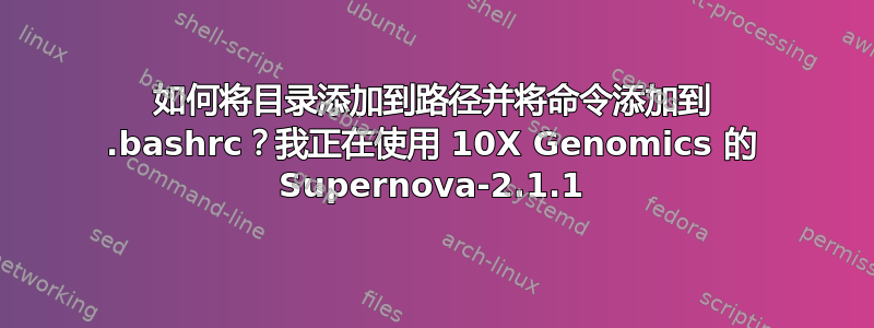 如何将目录添加到路径并将命令添加到 .bashrc？我正在使用 10X Genomics 的 Supernova-2.1.1