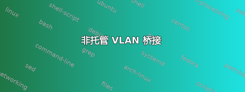 非托管 VLAN 桥接