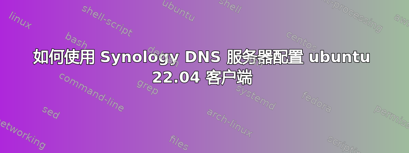 如何使用 Synology DNS 服务器配置 ubuntu 22.04 客户端