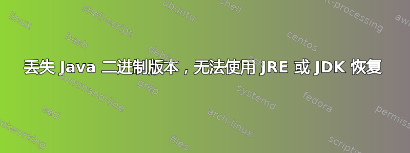 丢失 Java 二进制版本，无法使用 JRE 或 JDK 恢复