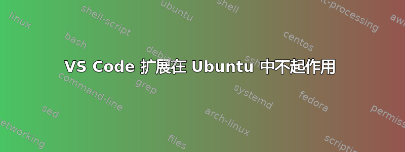 VS Code 扩展在 Ubuntu 中不起作用