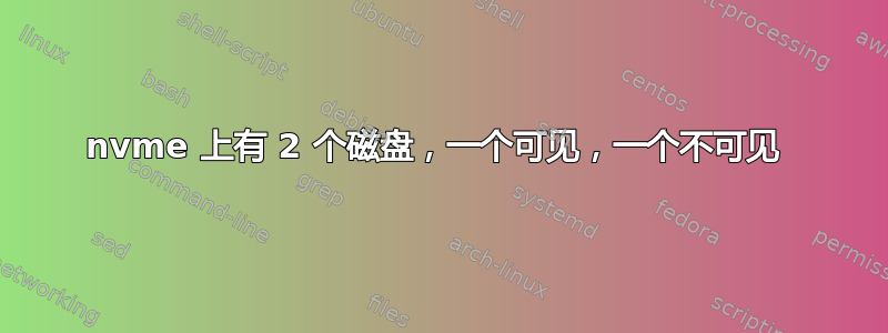 nvme 上有 2 个磁盘，一个可见，一个不可见 