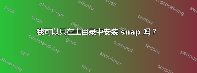 我可以只在主目录中安装 snap 吗？