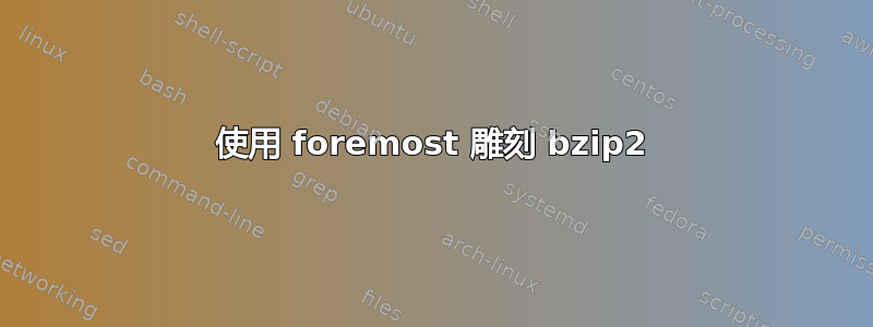 使用 foremost 雕刻 bzip2