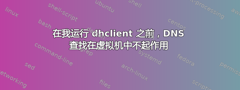 在我运行 dhclient 之前，DNS 查找在虚拟机中不起作用