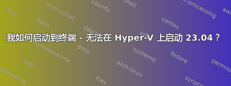 我如何启动到终端 - 无法在 Hyper-V 上启动 23.04？