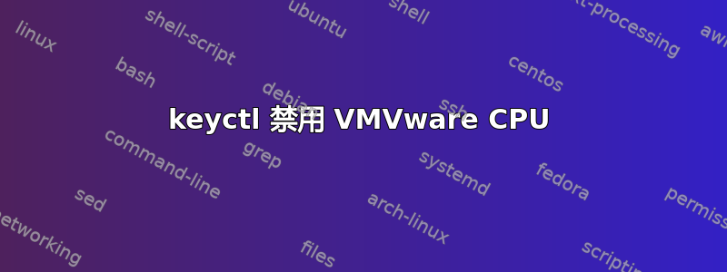 keyctl 禁用 VMVware CPU