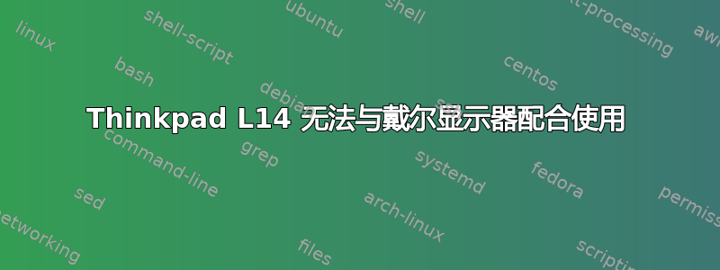 Thinkpad L14 无法与戴尔显示器配合使用