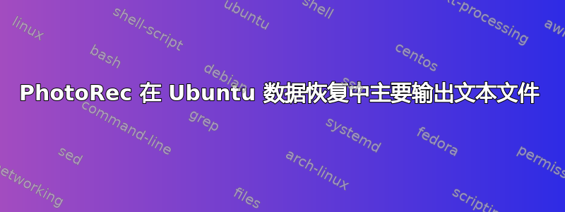 PhotoRec 在 Ubuntu 数据恢复中主要输出文本文件