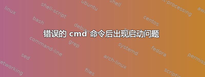 错误的 cmd 命令后出现启动问题