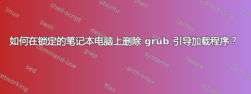 如何在锁定的笔记本电脑上删除 grub 引导加载程序？