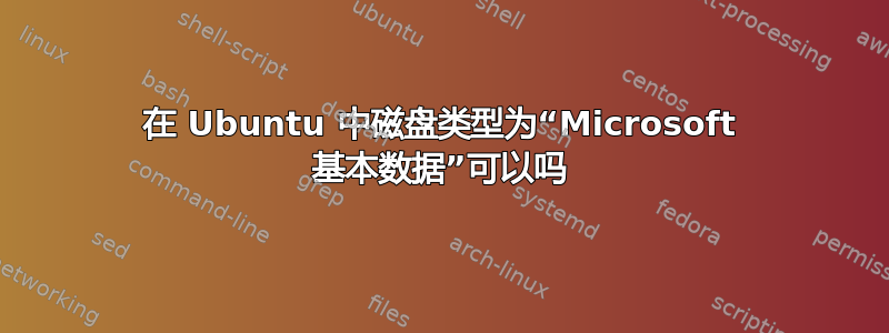 在 Ubuntu 中磁盘类型为“Microsoft 基本数据”可以吗