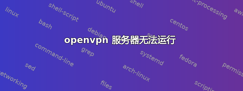 openvpn 服务器无法运行