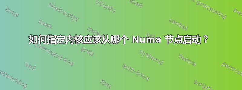 如何指定内核应该从哪个 Numa 节点启动？