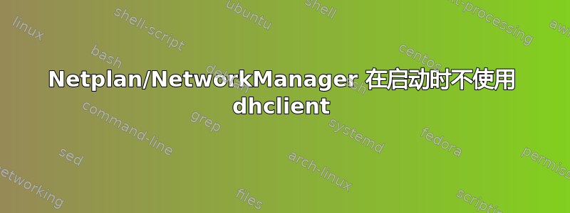 Netplan/NetworkManager 在启动时不使用 dhclient