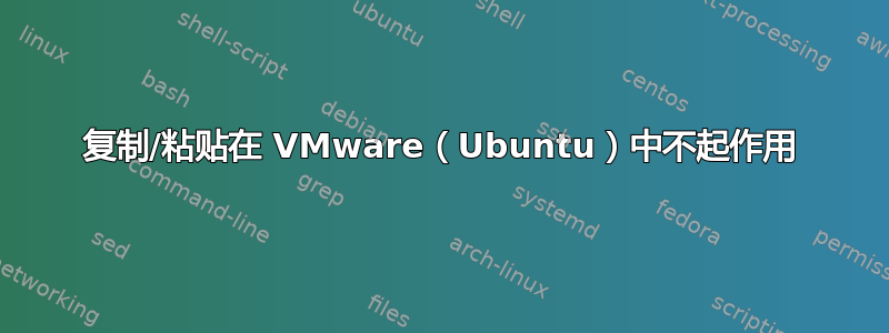 复制/粘贴在 VMware（Ubuntu）中不起作用