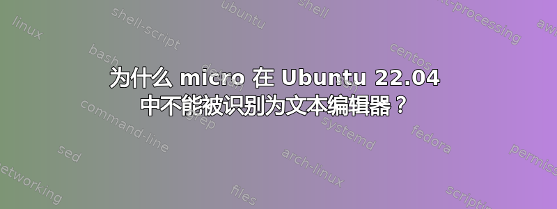 为什么 micro 在 Ubuntu 22.04 中不能被识别为文本编辑器？