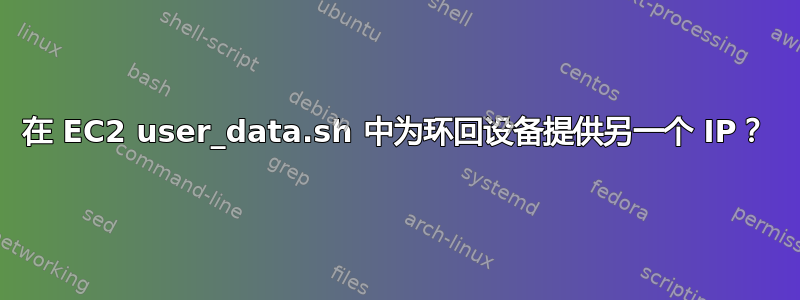 在 EC2 user_data.sh 中为环回设备提供另一个 IP？