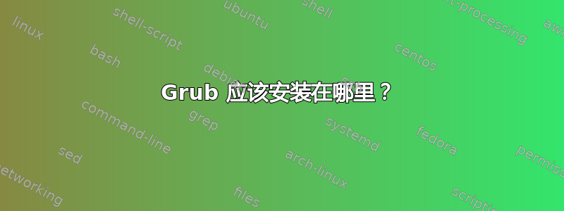 Grub 应该安装在哪里？