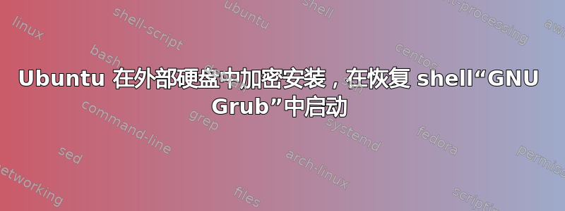 Ubuntu 在外部硬盘中加密安装，在恢复 shell“GNU Grub”中启动