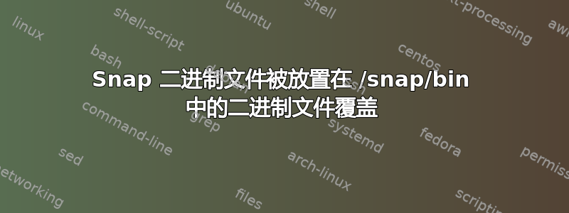 Snap 二进制文件被放置在 /snap/bin 中的二进制文件覆盖
