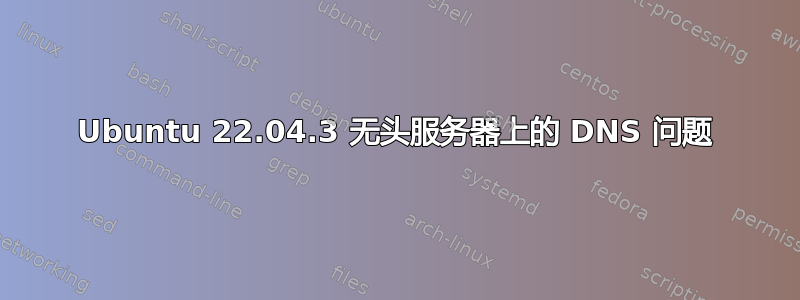 Ubuntu 22.04.3 无头服务器上的 DNS 问题